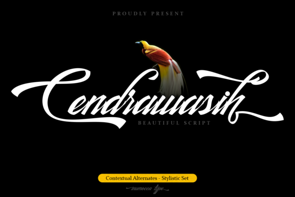Cendrawasih: A Handwritten Font for Elegant Design